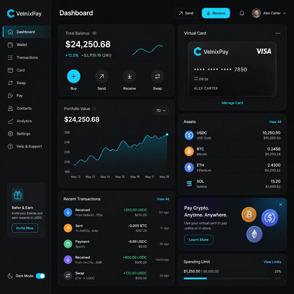 VelnixPay dashboard preview